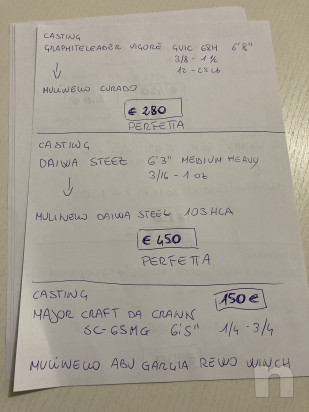 Canne Casting e Spinning in ottime condizioni foto-45872