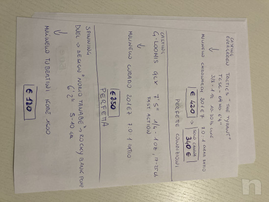 Canne Casting e Spinning in ottime condizioni foto-23218