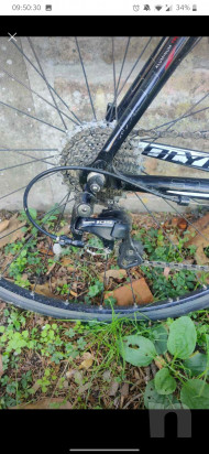 Bici Olympia foto-45940