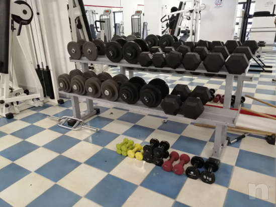 Stock palestra  foto-46452