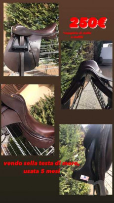 sella da cavallo foto-23496