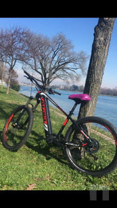 solo per intenditori ! foto-23566