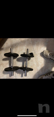 Palestra  foto-23599