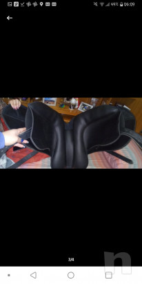 Sella dressage o monta da lavoro  foto-46953