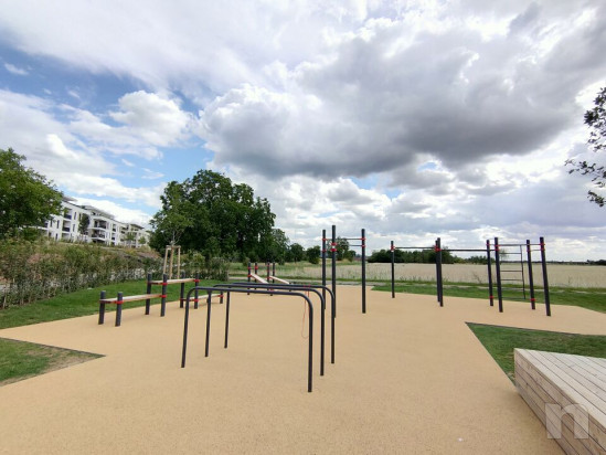 Lezioni di Calisthenics foto-47547