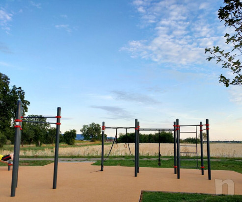 Lezioni di Calisthenics foto-23985