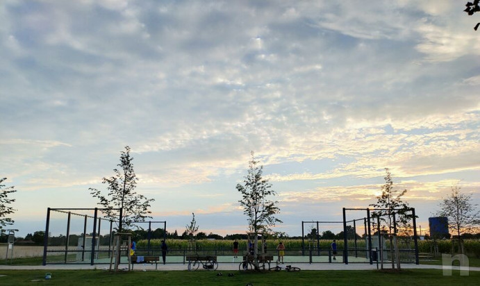 Lezioni di Calisthenics foto-47548