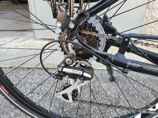 bicicletta a pedalata assistita Montana E-Thea foto-47742