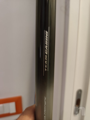 Bolognese 8 metri Team Casini Excellence foto-24149