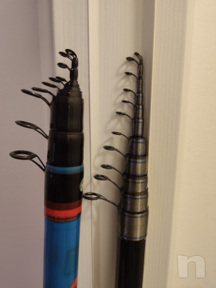 Bolognese 8 metri Team Casini Excellence foto-47917