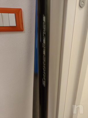 Bolognese 8 metri Team Casini Excellence foto-47914