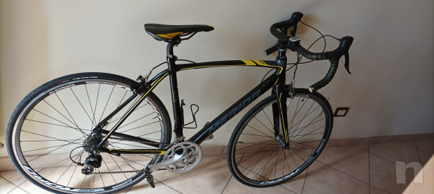 Merida scultura 901 foto-24201