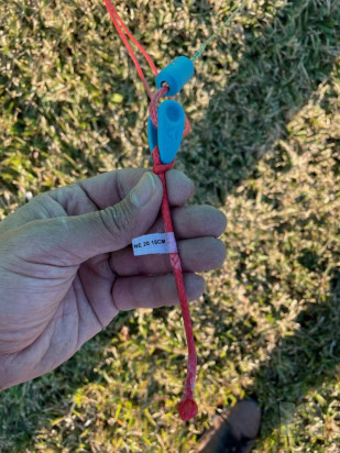 Duotone Neo 2020 7mt  foto-48363