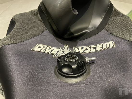 Muta stagna  foto-24556