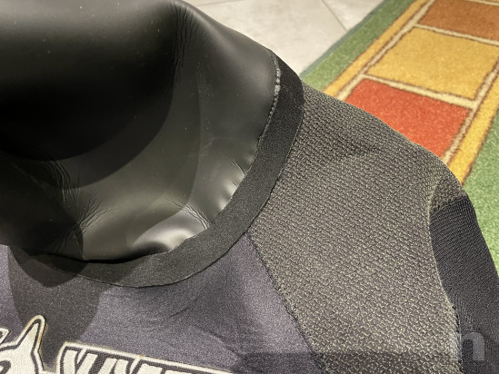 Muta stagna  foto-48830