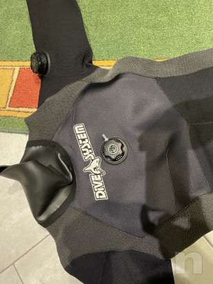 Muta stagna  foto-48831