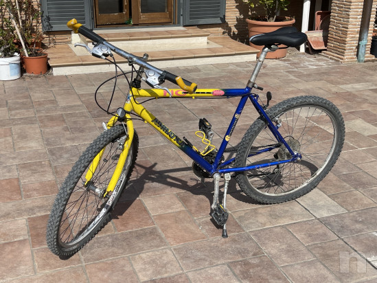 MTB marca ADRIATICA 26'' CAMBIO SHIMANO usata pronta all'uso foto-24629