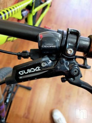 MTB focus spine  foto-48990