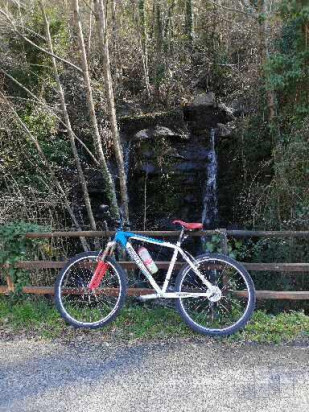 MTB SCOOT foto-24792