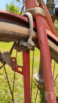 BICI CERIZ D'EPOCA foto-49387