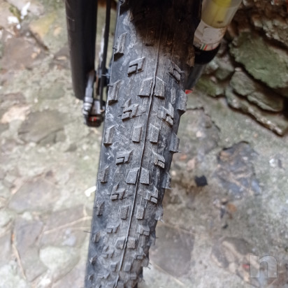 MTB carbonio TREK front foto-49901