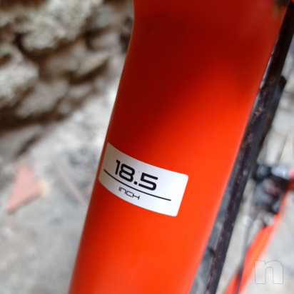 MTB carbonio TREK front foto-49899