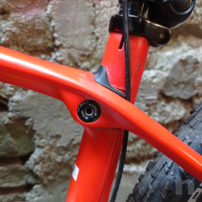 MTB carbonio TREK front foto-49900