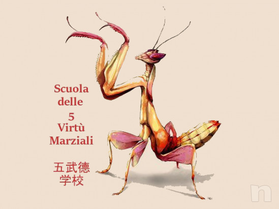 Corsi di kung fu e qi gong foto-25210