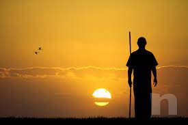 Corsi di kung fu e qi gong foto-50345