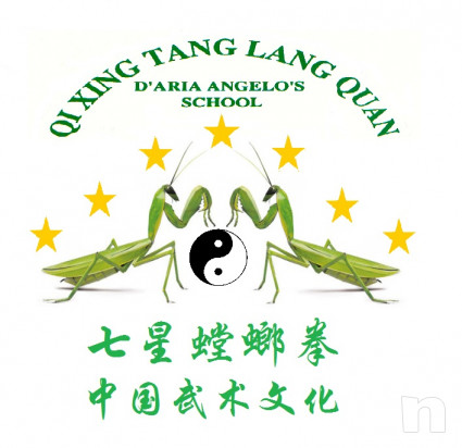 Corsi di kung fu e qi gong foto-50344