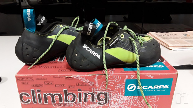 MAESTRO ECO foto-25235