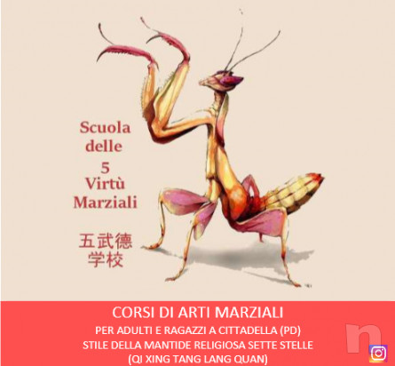 Corsi di kung fu e qi gong foto-25279