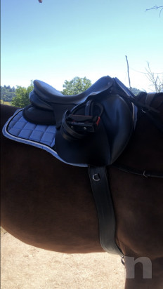 Sella Felix Buhler foto-25607