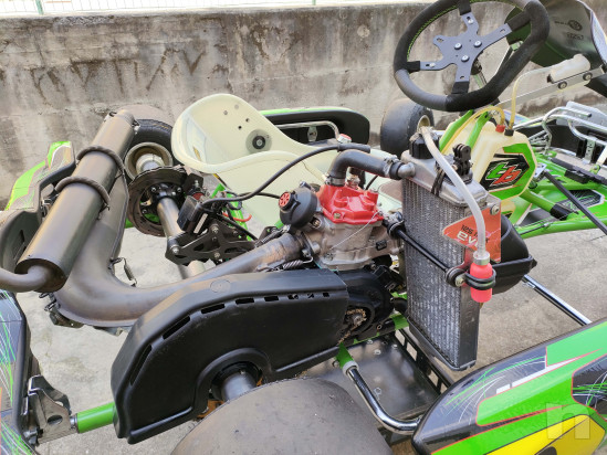 tbkart - ROTAX MAX EVO 125 foto-51295