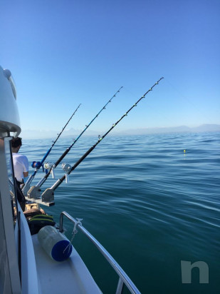 ROCKET A TRE PORTACANNA INOX 316 foto-51348