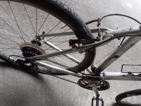 VENDO MOUNTAIN BIKE 21 rapporti foto-51533