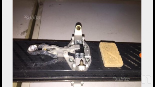 Sci alpinismo mouvement con attacchini e pelli foto-4550