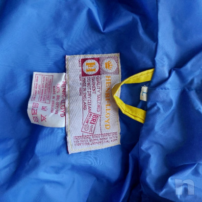 Cerata Henry Lloyd foto-52746