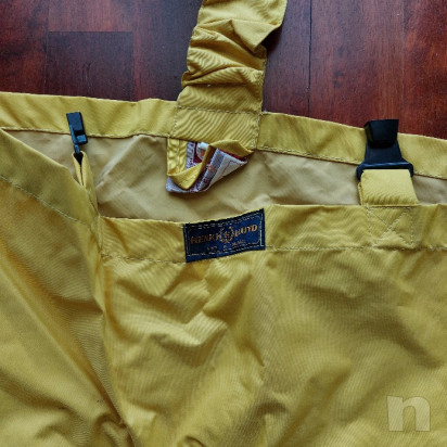 Cerata Henry Lloyd foto-52747