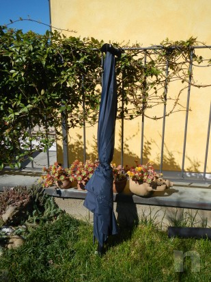 Ombrellone da Pesca TEAM DAIWA foto-276