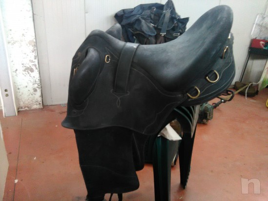 sella australiana foto-3113