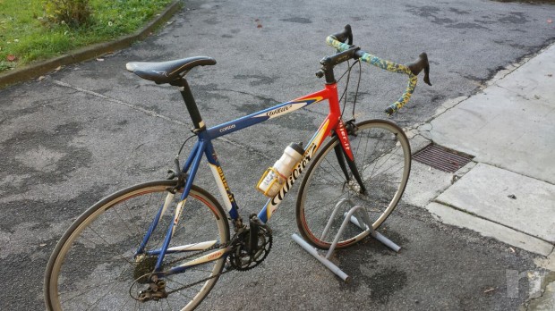 Wilier triestina  foto-3193