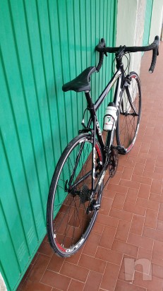 Bici da corsa OLMO foto-5606