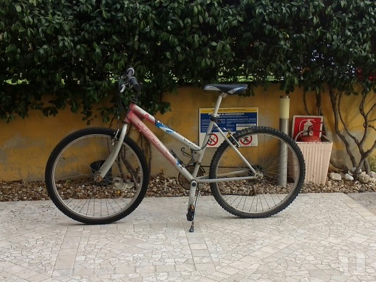 bici da passeggio più mtb  foto-5733
