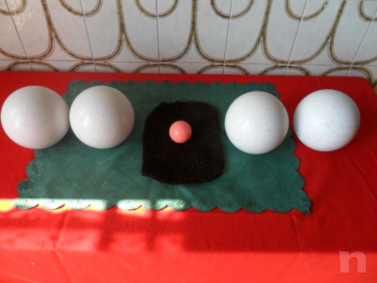 BOCCE PERFETTA foto-3291