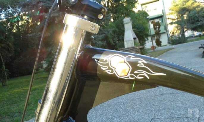 bici particolare foto-6245