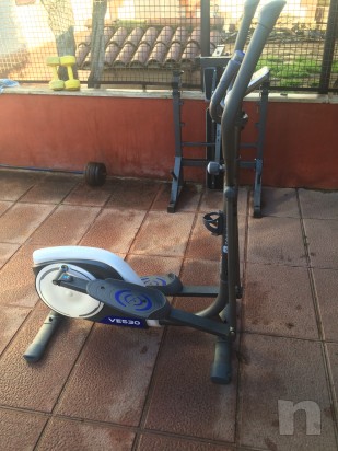 Cyvlette ellittica domyos foto-3664