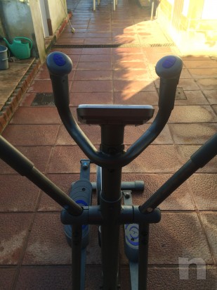 Cyvlette ellittica domyos foto-6461