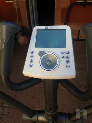 Cyvlette ellittica domyos foto-6460