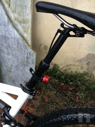 Stumpjumper Comp 29 M anno 2014 foto-6541